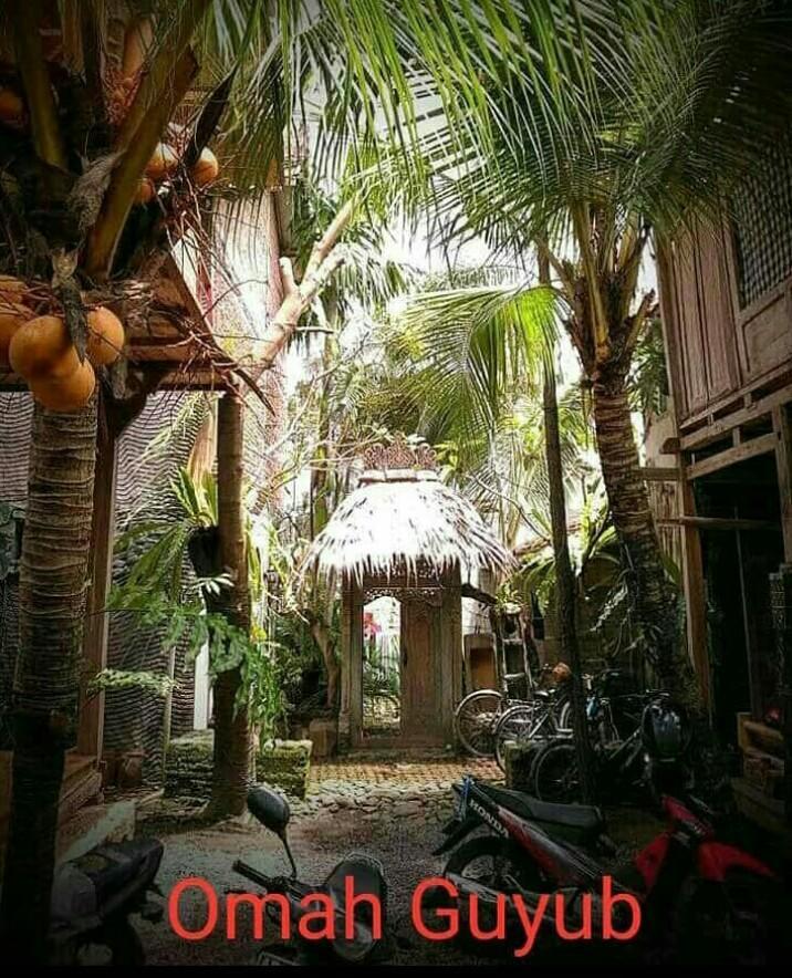 Omah Guyub Yogyakarta Bagian luar foto